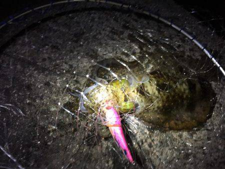 今日はいい天気